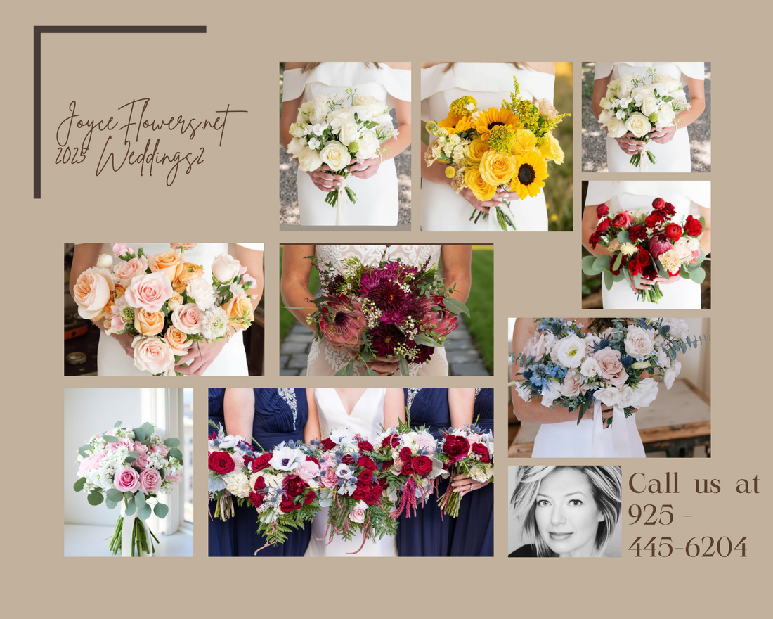 Dream Wedding Venues Right Here in Brentwood, CA 94513