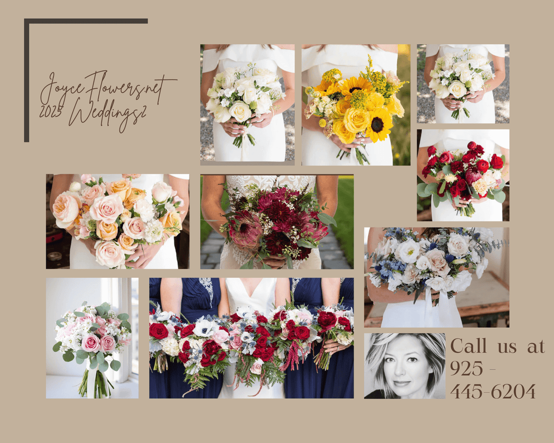 Dream Wedding Venues Right Here in Brentwood, CA 94513