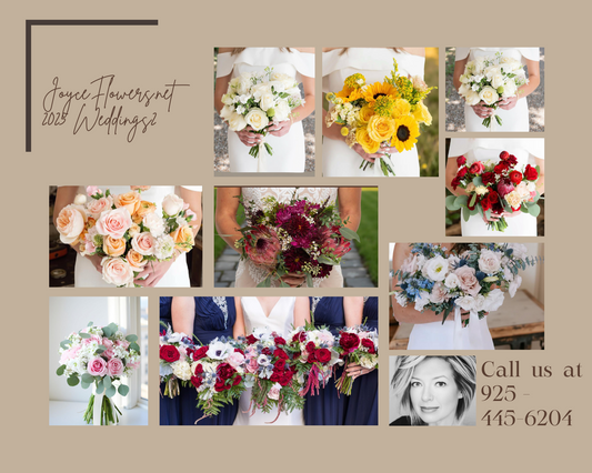 Dream Wedding Venues Right Here in Brentwood, CA 94513