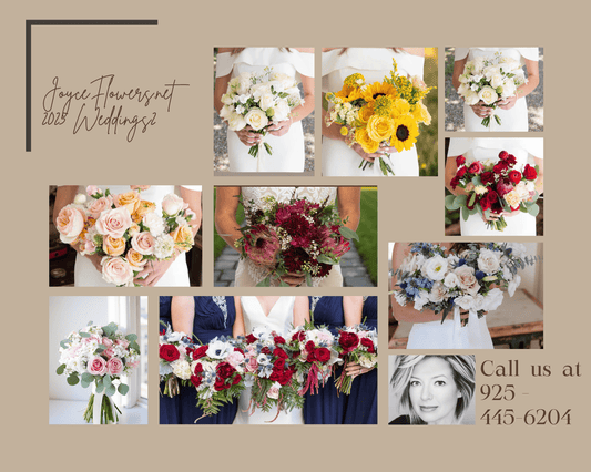 Dream Wedding Venues Right Here in Brentwood, CA 94513