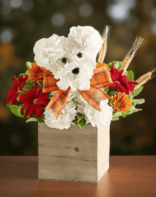 Joyceflowers.net in Brentwood, CA 94513 carries a wide variety of floral gifts. Voted Best Florist in 94513. Everyday floral design, sympathy flowers, wedding bouquets, and gifts. 