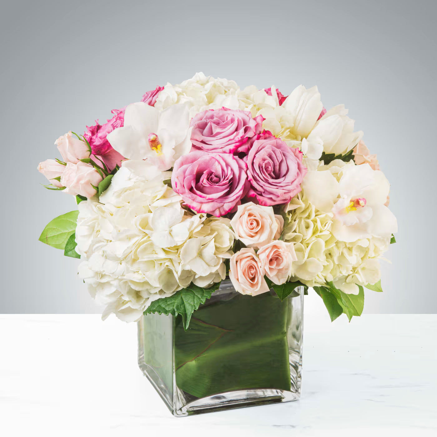Summer Blooms
