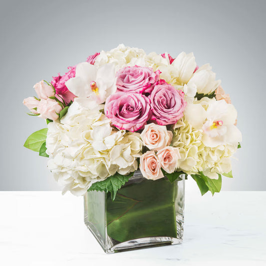 Summer Blooms