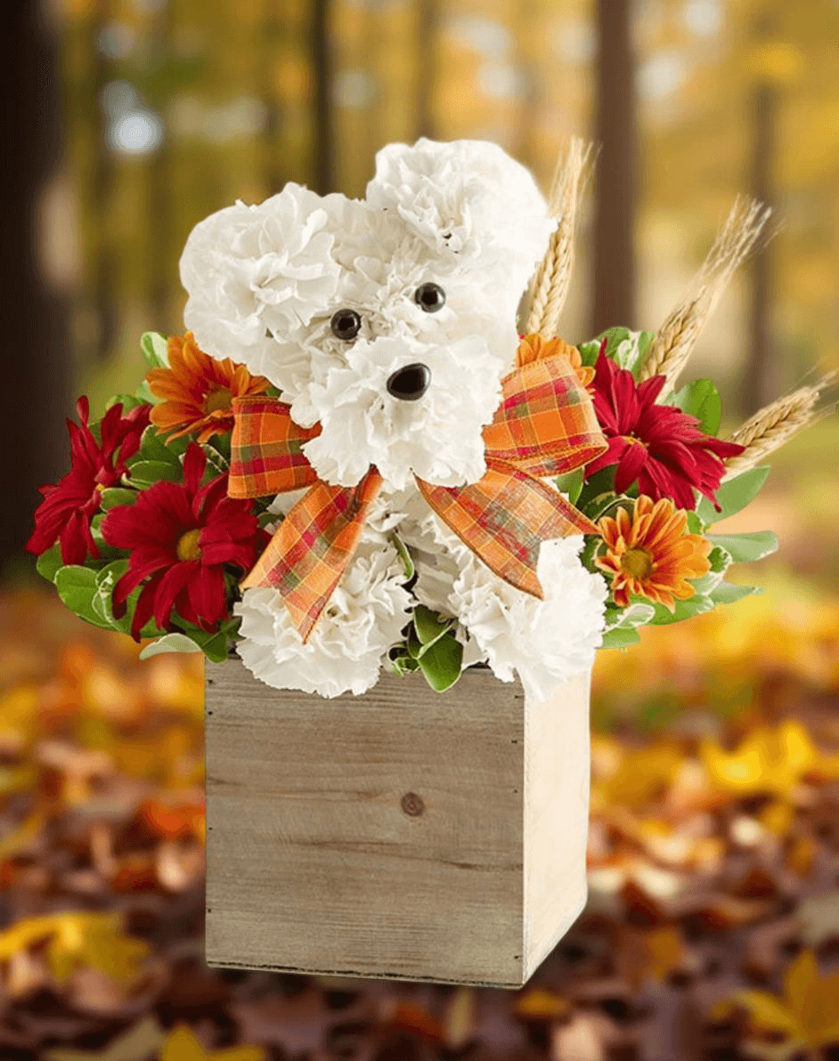 Flowers Love Puppy arrangement featuring white carnations and colorful fall blooms in a wooden box.