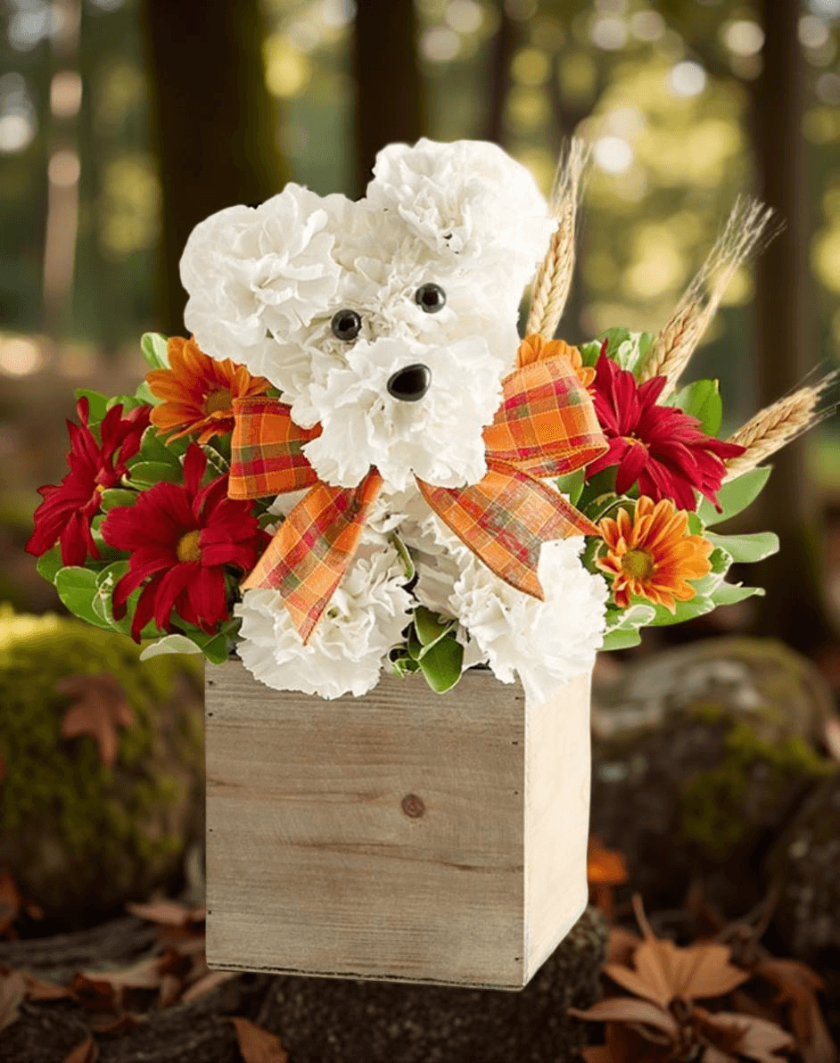 Flowers Love Puppy arrangement with white carnations, sunflowers, and a wooden box for flower delivery Brentwood CA 94513.
