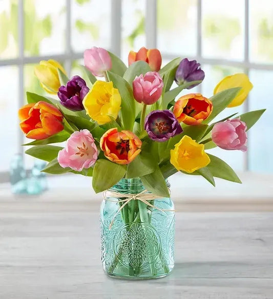 Tulips in Mason Jar