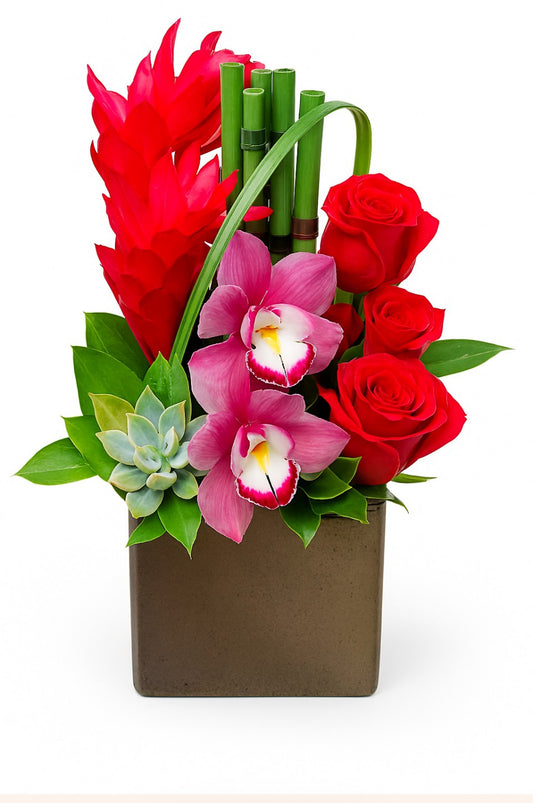 Optical Tropical Arrangement