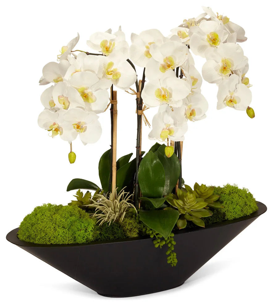 Orchid Boat Flowers