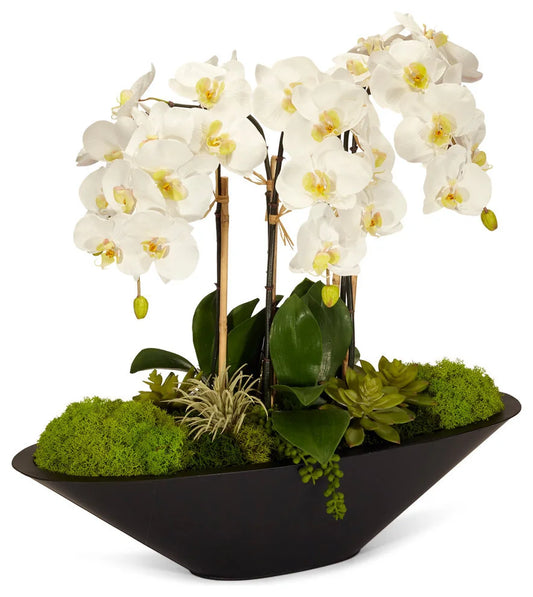Orchid Boat Flowers