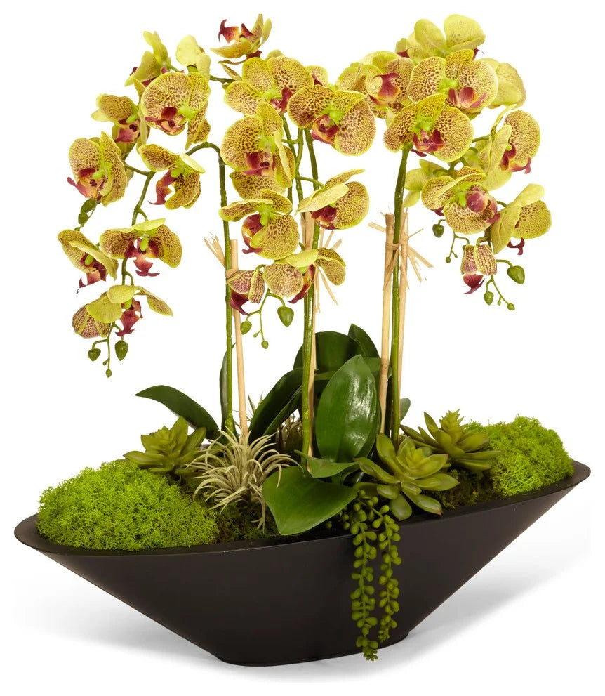 Orchid Boat Flowers