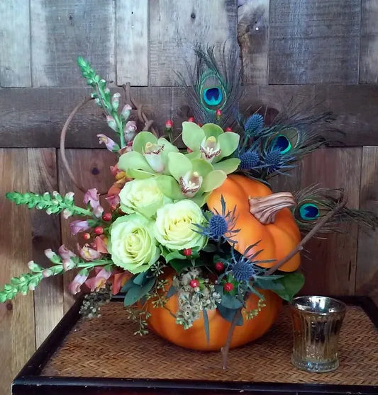 Peacock Pumpkin