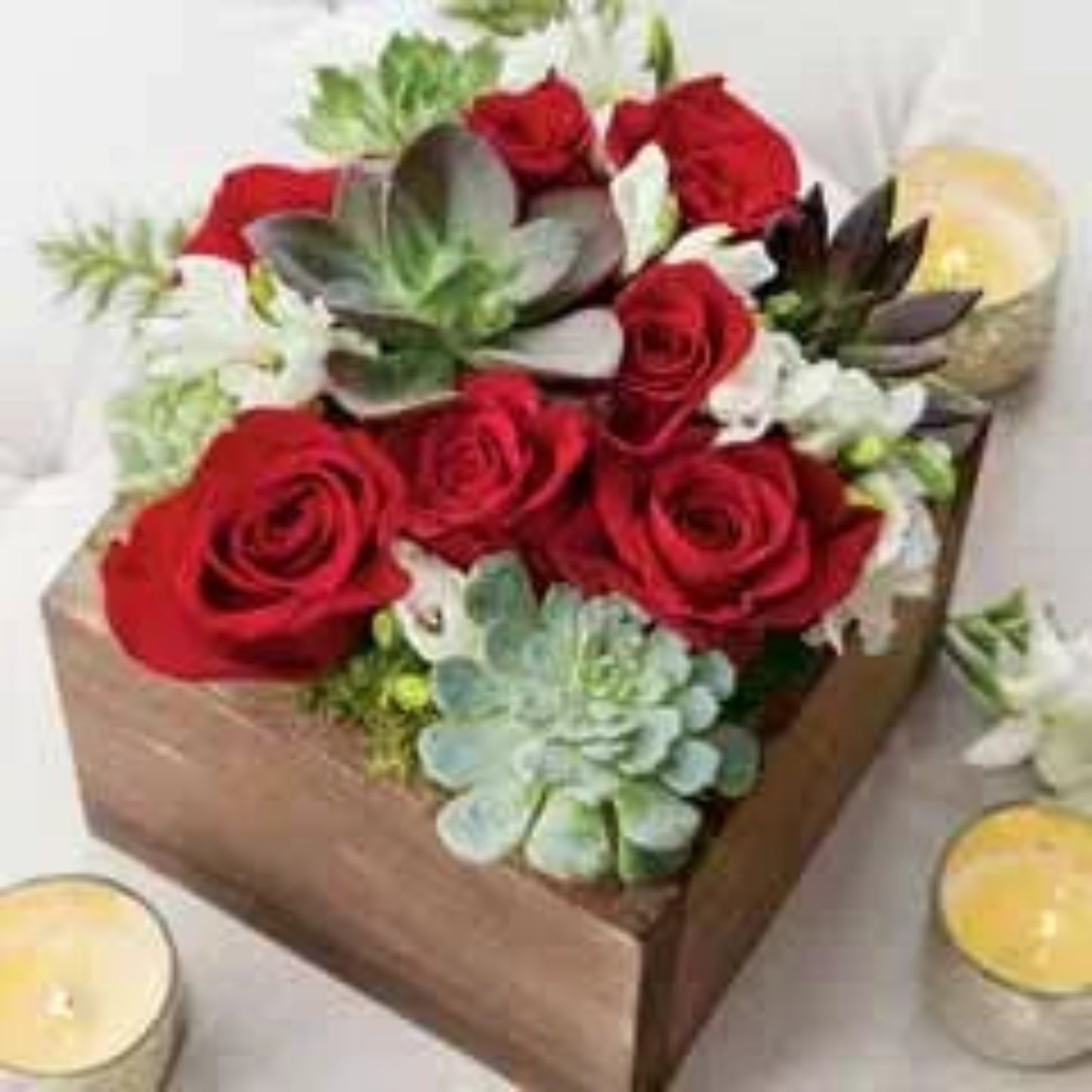 Bella Succulents & Roses