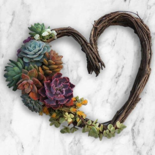A beautiful grapevine wreath with succulent plants (live) attached to the heart.  Great for a fun gift