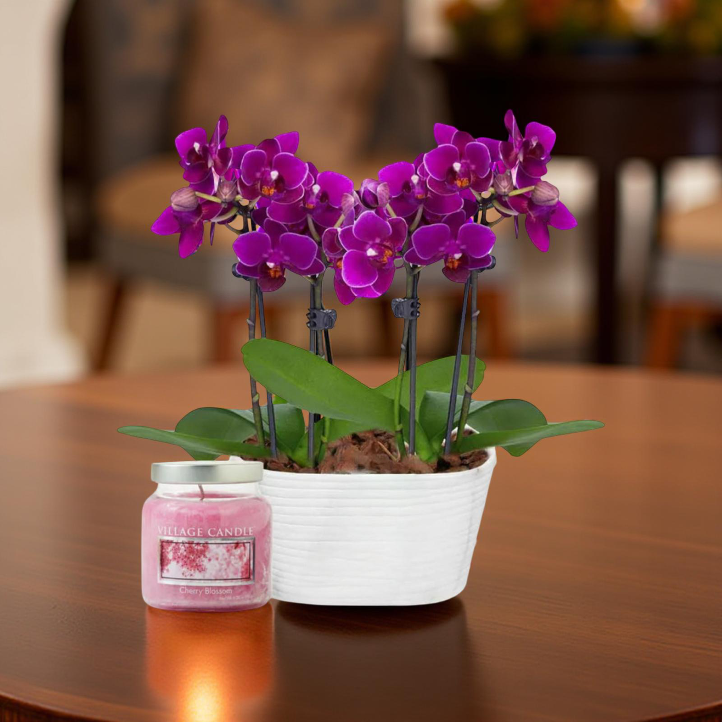 Purple Orchid & Candle Gift