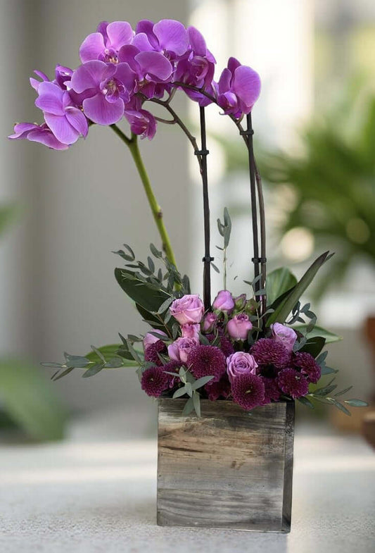 Regal Orchid Florist in Brentwood CA 94513