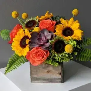 Thanksgiving flower delivery Brentwood CA 94513